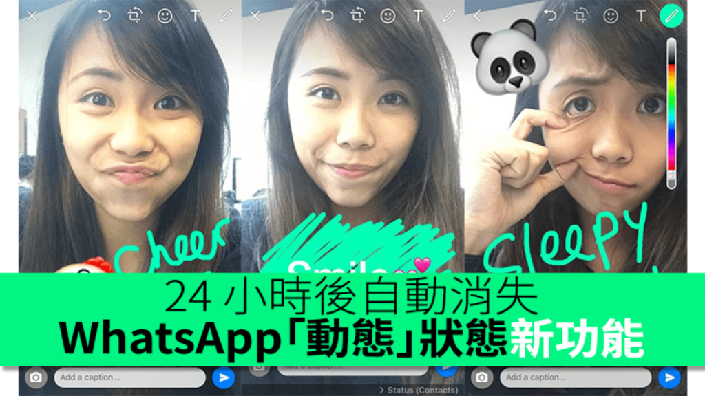 WhatsApp的动态只能保存24小时吗？