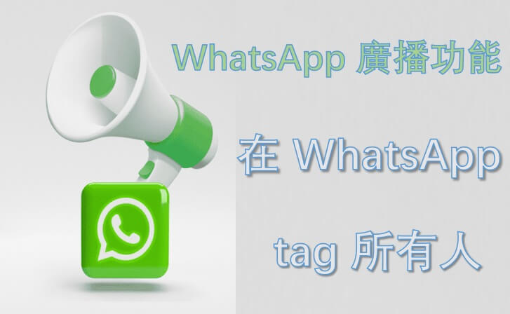 WhatsApp广播功能是什么？